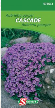 S07663 Aubrieta Purper Cascade Blijvend. Kruipende plant voor rotstuinen. Fijne schitterende bloempjes. Zaaien en verspenen op kweekbed, ter plaatse uitplanten in september-oktober op 20-25 cm afstand op een zonnige plaats. Te vochtige ligging vermijden. Deze eerste lentebloeier vormt een uitstoelende plant met dezelfde eigenschappen als Arabis en Alyssum "goudkorfje".


hoogte :
15 cm Aubrieta purper cascade